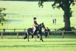SBM_37342