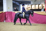 SBM_18996