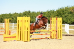 SBM_005990