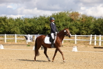 SBM_003676