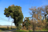 Highway 175, Hopland, California