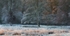 Natures Palette