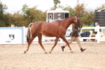 SBM_16284