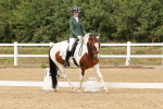 SBM_001968