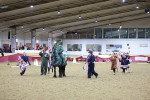 SBM_10207