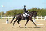 SBM_002239
