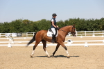SBM_004966