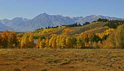 Grand Teton National Park portfolio