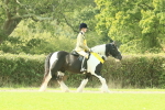 SBM_68997