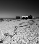 Snake Rope at  Dungeness 43742