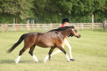 SBM_10593