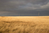 5 North Dakota