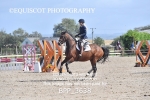 BPP_3638