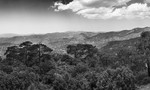 20150609-_MG_5956-3520-3540