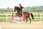 SBM_009197