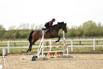 Class 5 -Senior Foxhunter - 1.20m portfolio