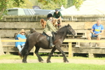 SBM_68207