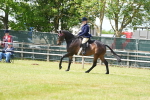 SBM_15907
