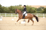 SBM_020230