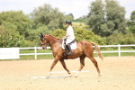 SBM_001444