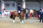 SBM_17815
