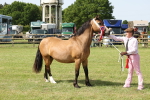 SBM_02177