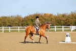 SBM_000416