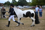 WJ6_8104