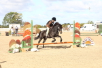 SBM_11264