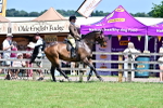 SBM_17448