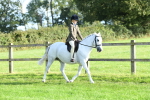 S22 - 1st Ridden Show & Show Hunter Pony portfolio
