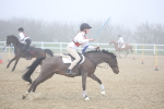 SBM_001017