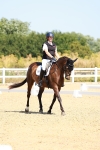 SBM_009739