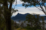 Mt Warning from old Tyalgum tip site park 3