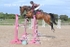 BPP_3773