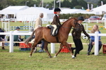 JPP_0272