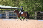 WJ6_7463