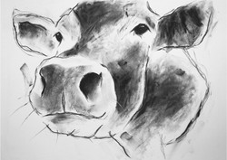 available originals portfolio