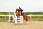 SBM_000498