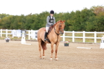 SBM_009248