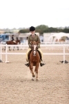 Class 422 - Equitation (Best Rider) Jnr portfolio