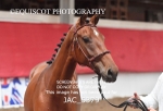 JAC_5379