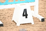 Cls 1 Snr British Novice and 90cm Open portfolio
