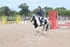 BPP_1654
