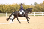 SBM_010242