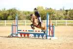 SBM_000326