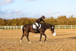 SBM_003360