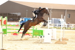 SBM_010496