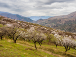 Andalucia-32