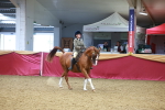 SBM_06085